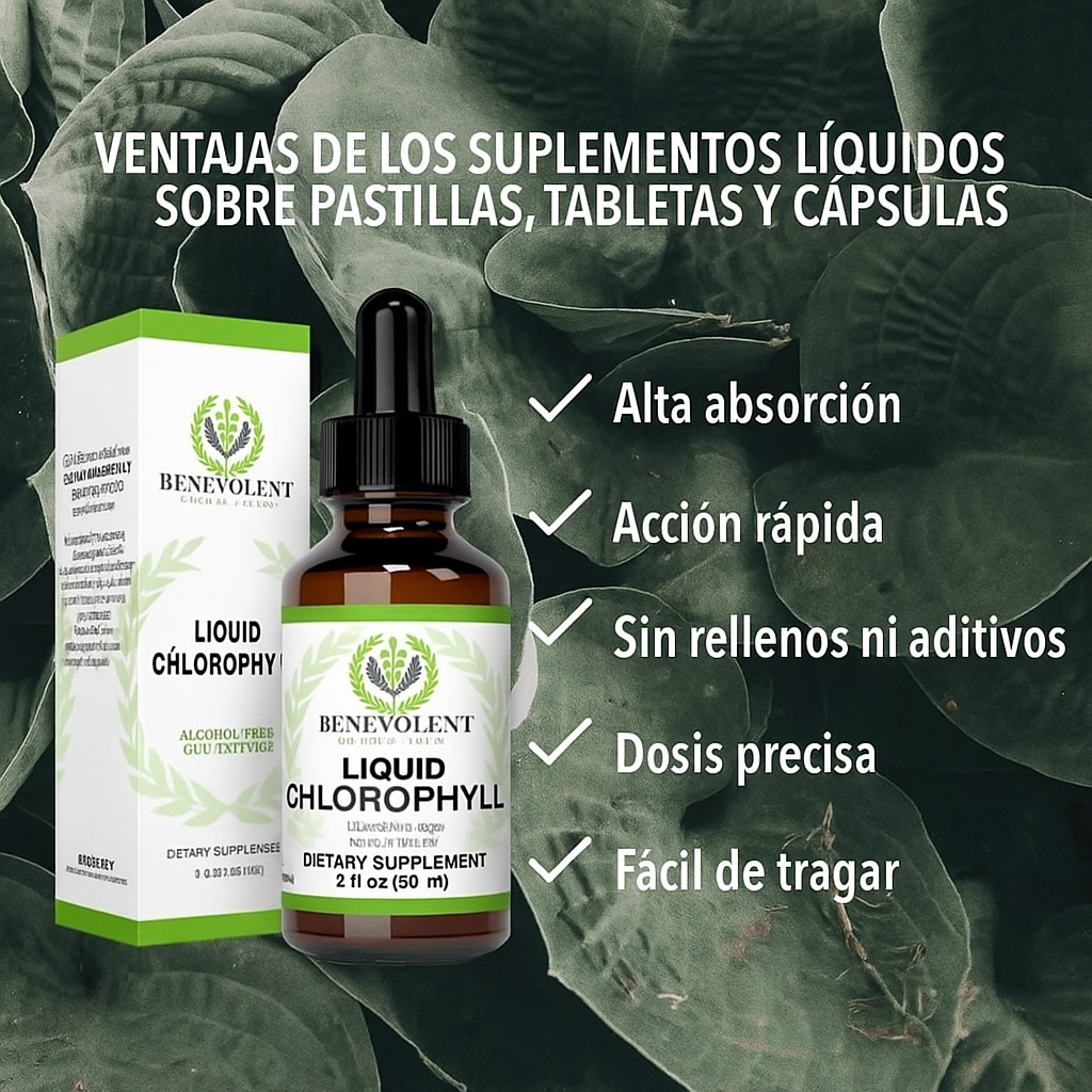 Encabezado